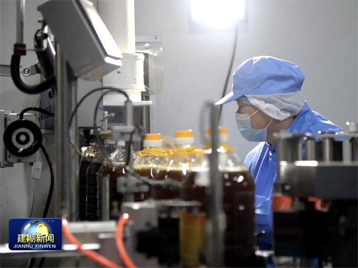 上海素暢食品江蘇有限公司的核心技術有哪些？